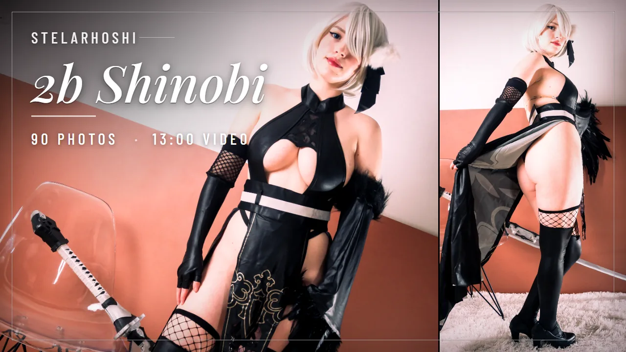 looking for stelarhoshi 2b shinobi? this is the ninja version, not the bride